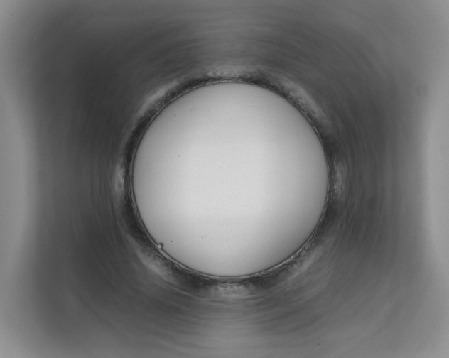 X0000111500636200908041203