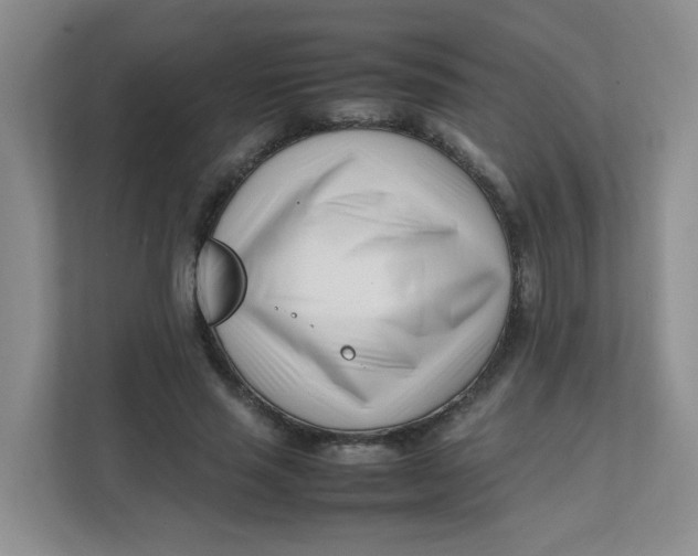 X0000111500637200908041203