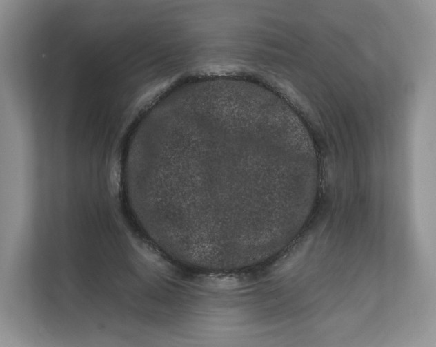 X0000111500640200908041203