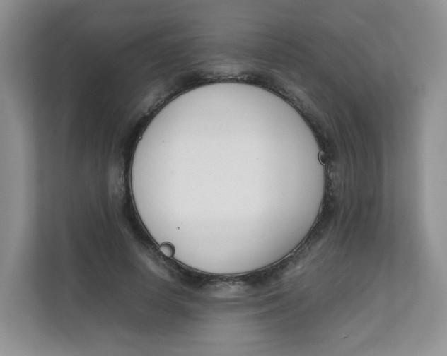 X0000111500642200908041203