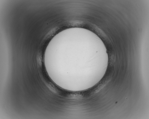 X0000111500644200908041203