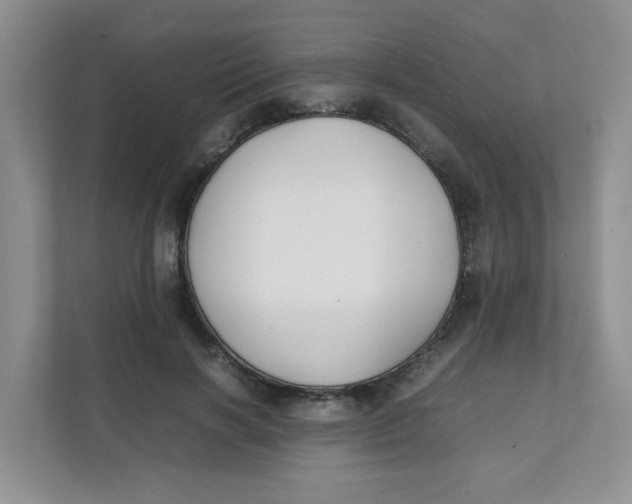 X0000111500646200908041203