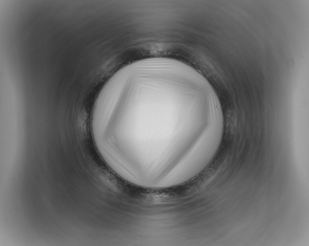 X0000111500650200908041203