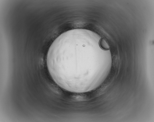 X0000111500655200908041203