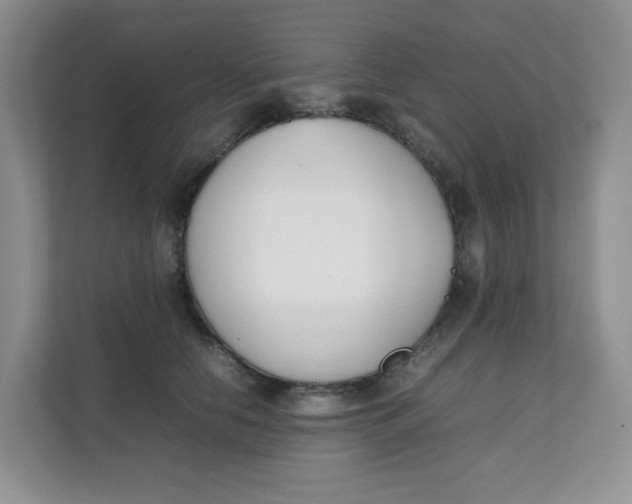 X0000111500658200908041203