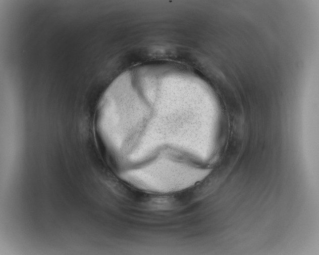 X0000111500659200908041203