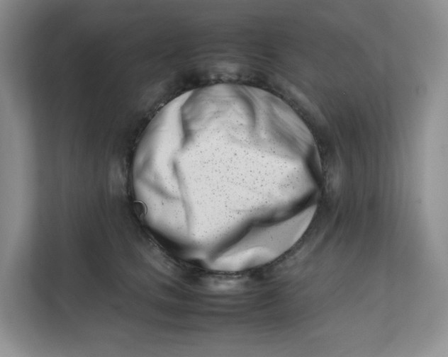 X0000111500661200908041203