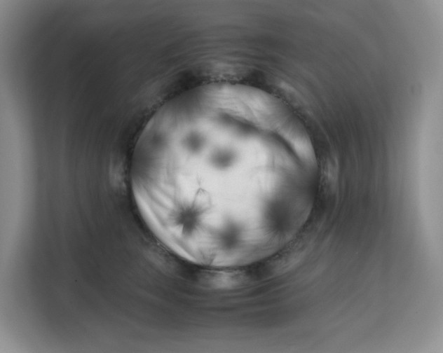 X0000111500663200908041203