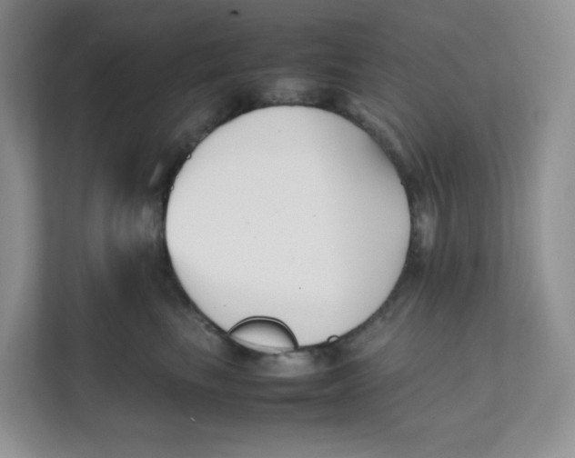 X0000111500665200908041203