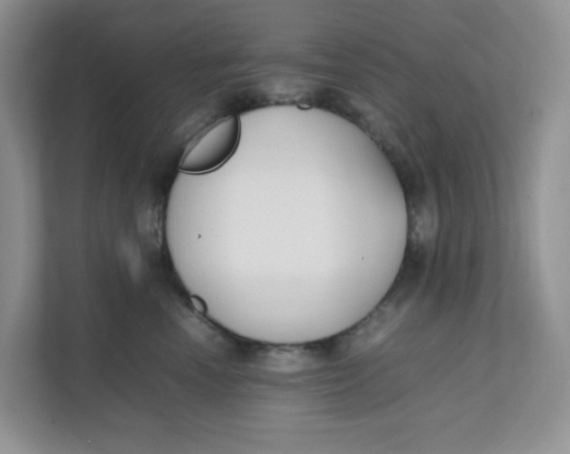 X0000111500666200908041203