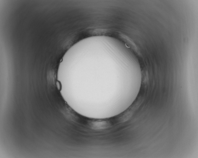 X0000111500669200908041203