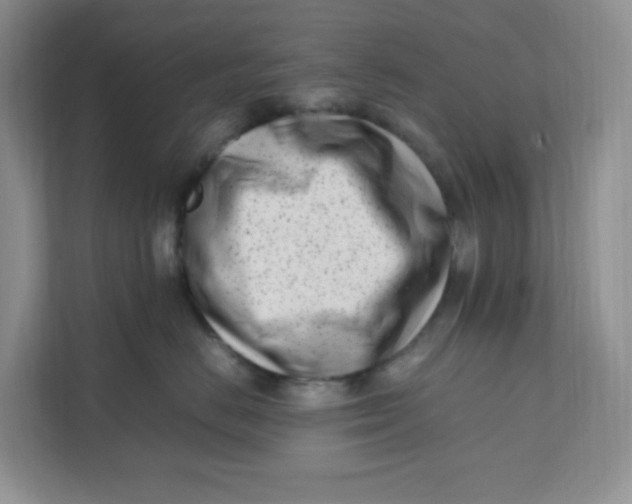 X0000111500670200908041203