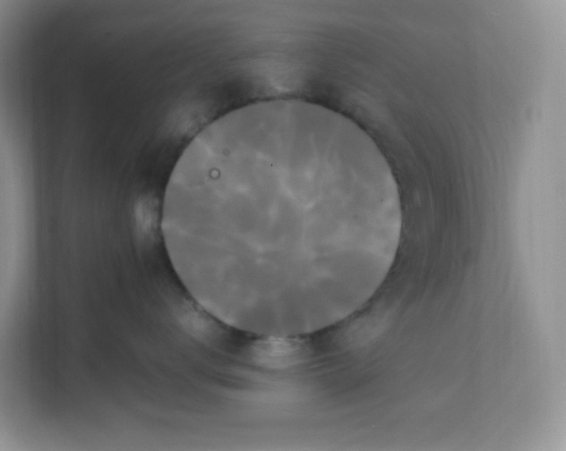 X0000111500672200908041203