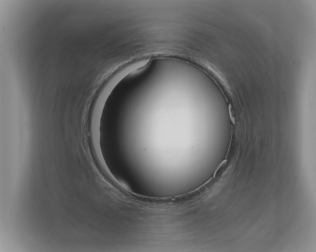 X0000111500673200908041203