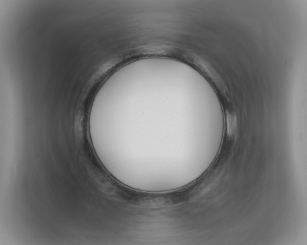 X0000111500675200908041203