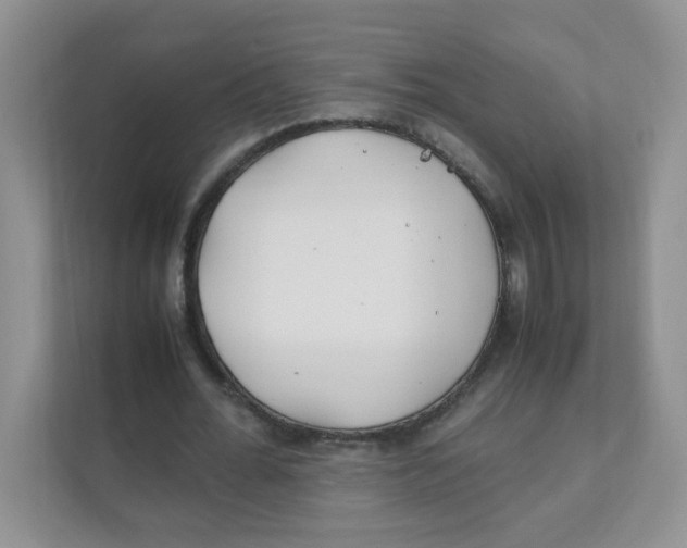 X0000111500676200908041203