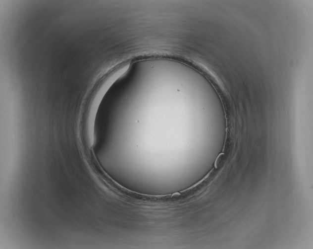 X0000111500677200908041203