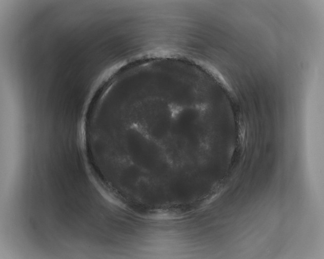 X0000111500678200908041203