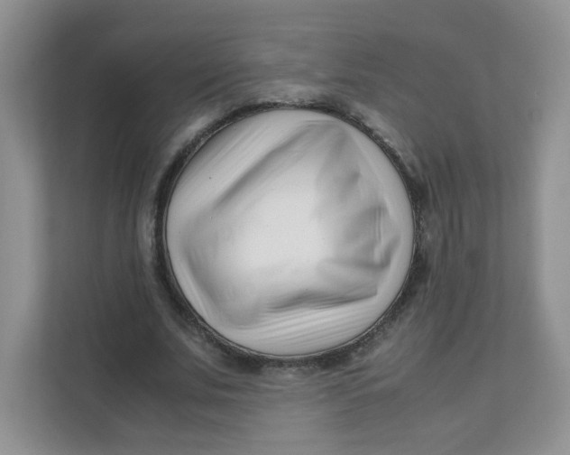 X0000111500679200908041203