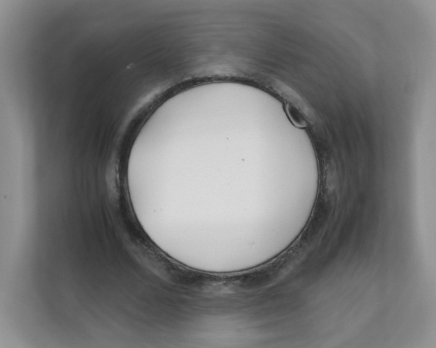 X0000111500680200908041203