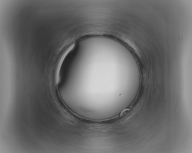 X0000111500681200908041203