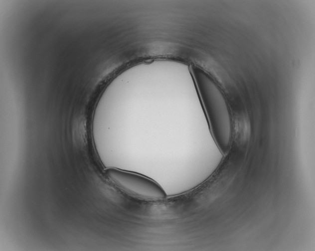 X0000111500684200908041203