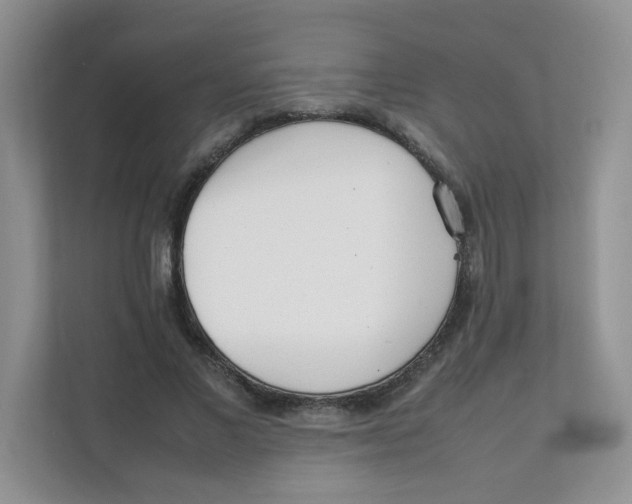 X0000111500685200908041203