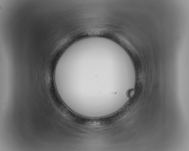 X0000111500687200908041203