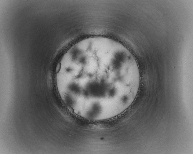 X0000111500688200908041203