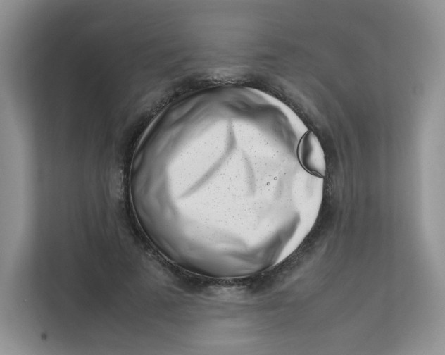 X0000111500689200908041203