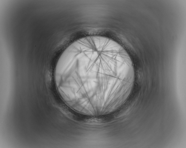 X0000111500691200908041203