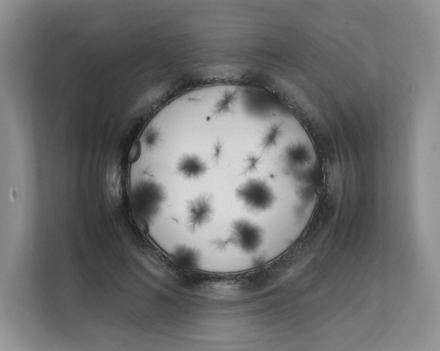 X0000111500692200908041203