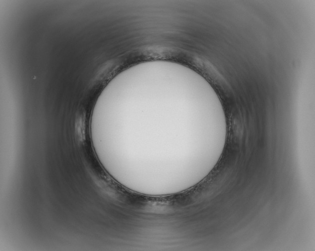 X0000111500694200908041203