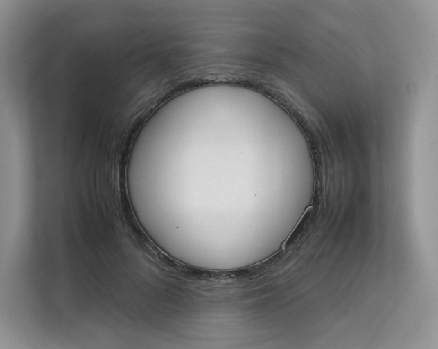 X0000111500696200908041203