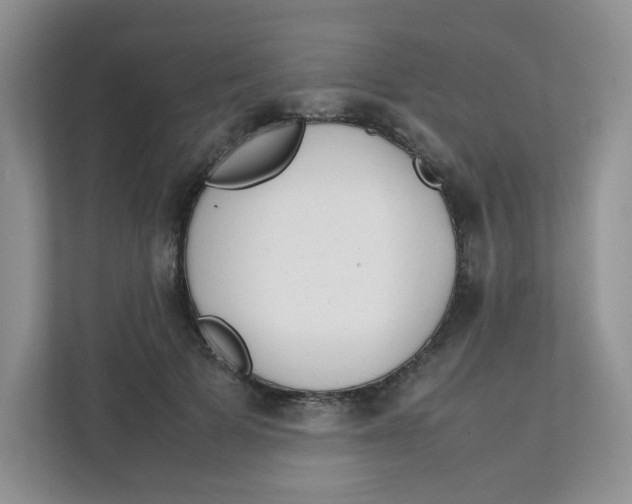 X0000111500697200908041203