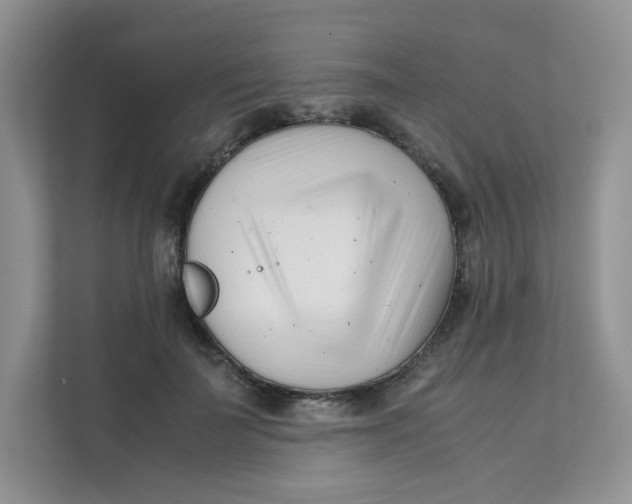 X0000111500699200908041203