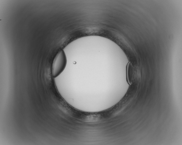 X0000111500700200908041203