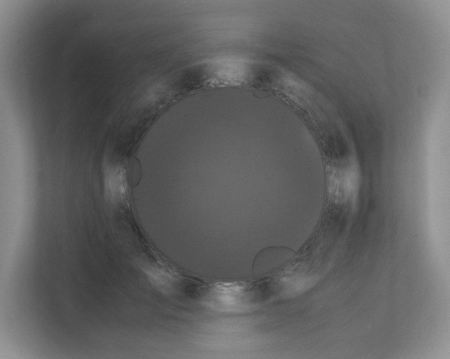 X0000111500701200908041202