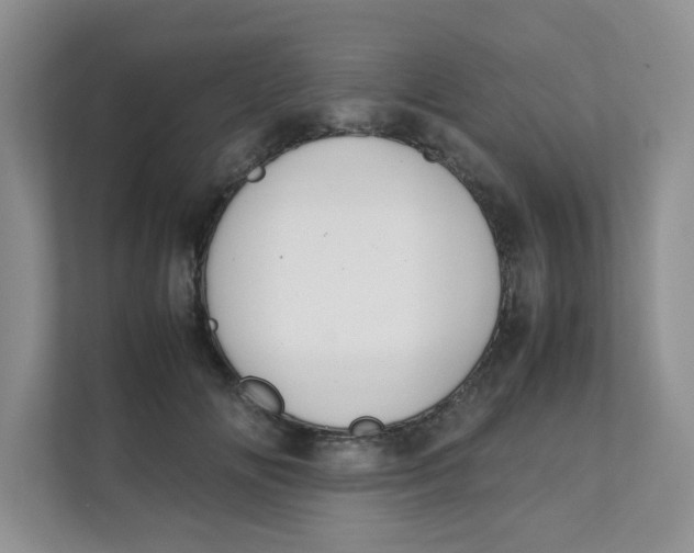 X0000111500702200908041202