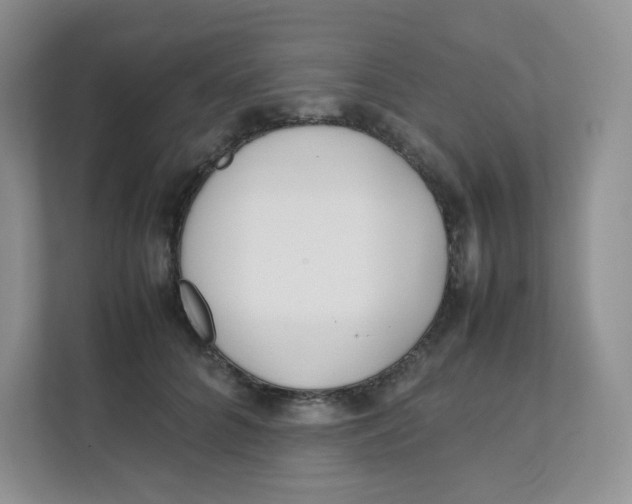 X0000111500704200908041202