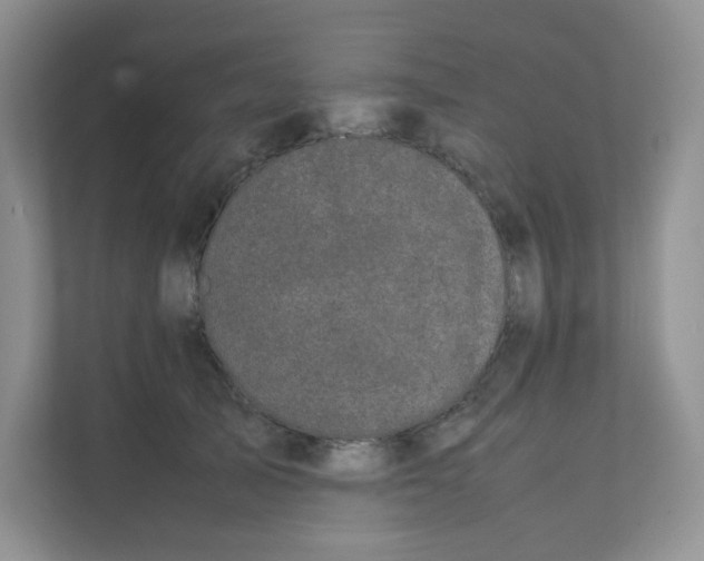 X0000111500705200908041202