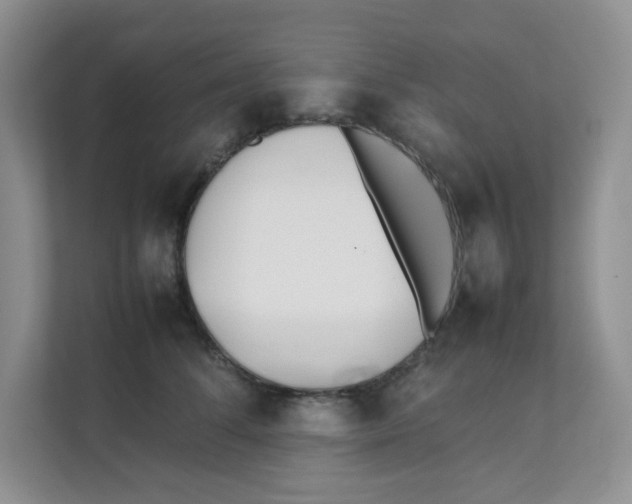 X0000111500708200908041202