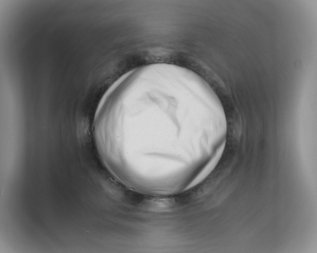 X0000111500711200908041202