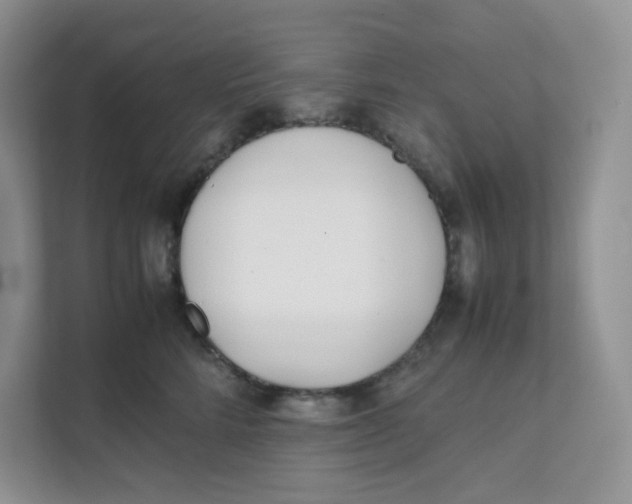 X0000111500712200908041202