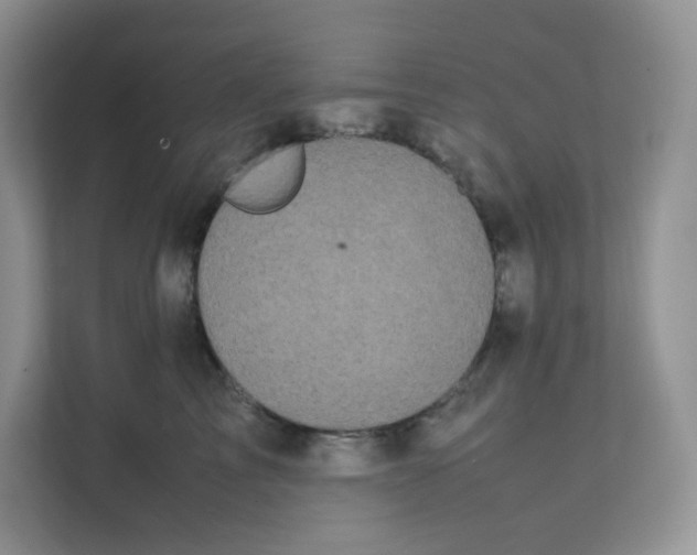 X0000111500713200908041202