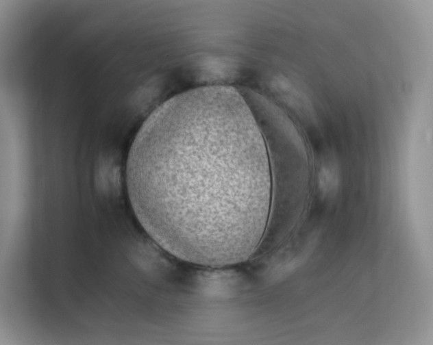 X0000111500716200908041202