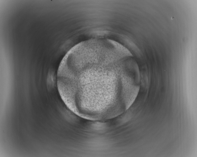 X0000111500718200908041202