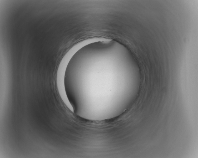 X0000111500720200908041202