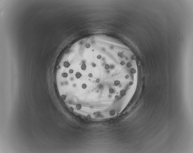 X0000111500721200908041202