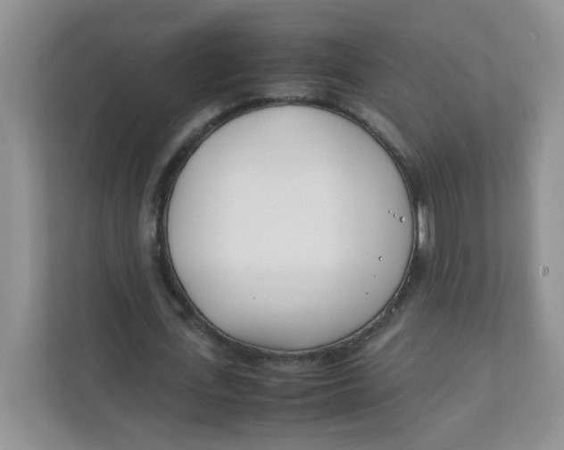 X0000111500723200908041202